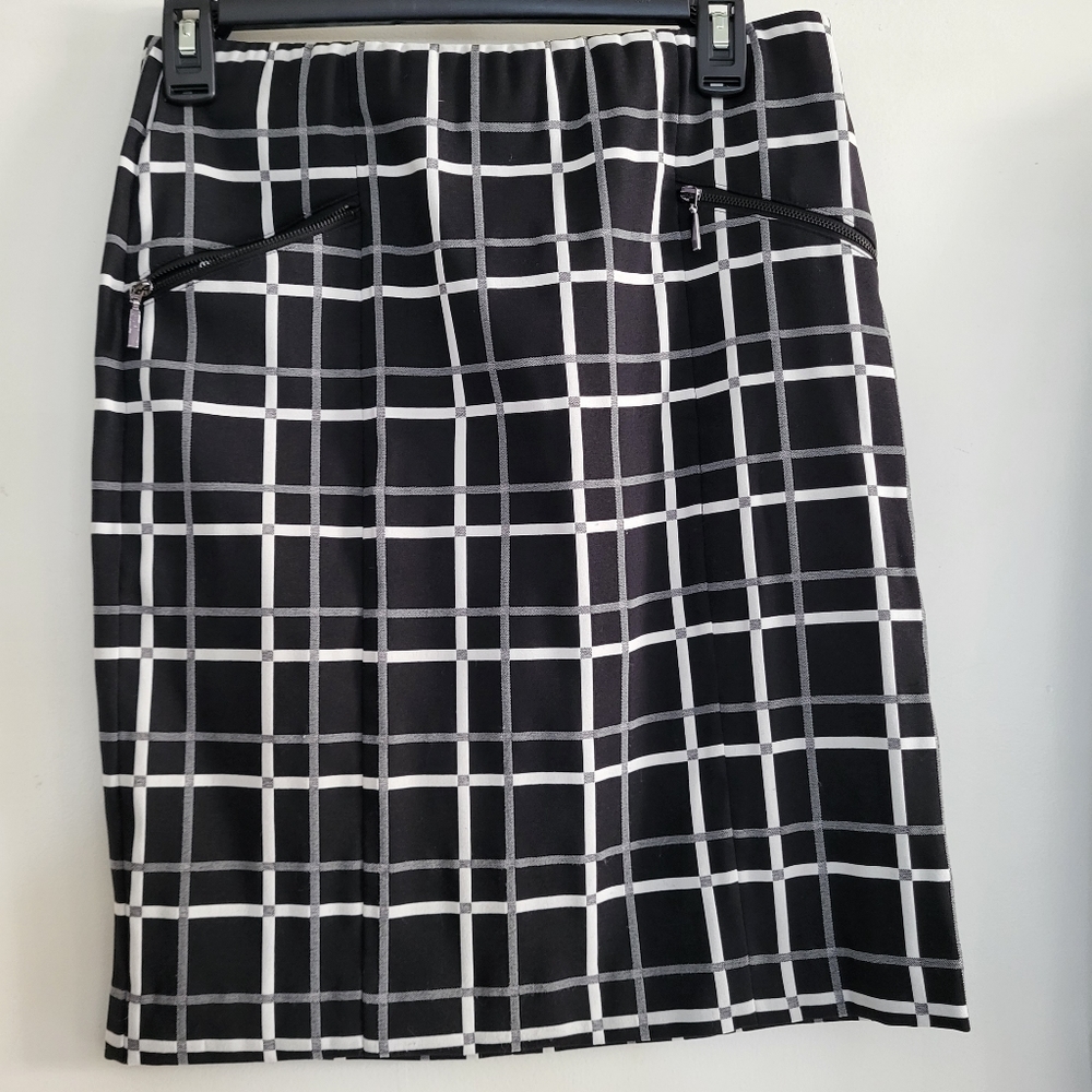 Alfani skirt